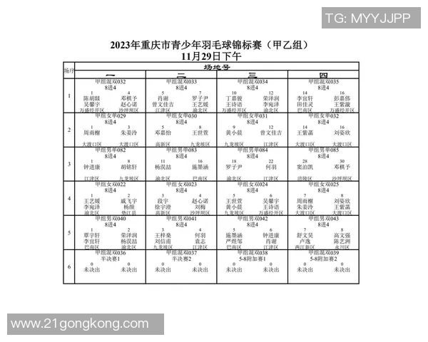 重庆羽毛球队与武汉羽毛球队赛后分析及比赛节奏深度解读
